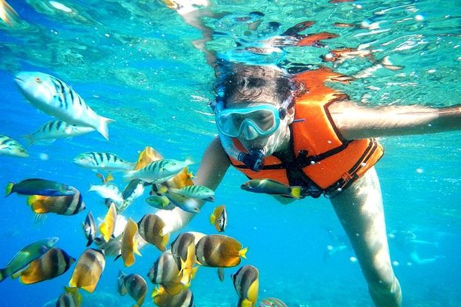 cancun beach snorkeling